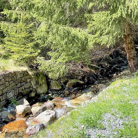 Lovely In With Wifi *